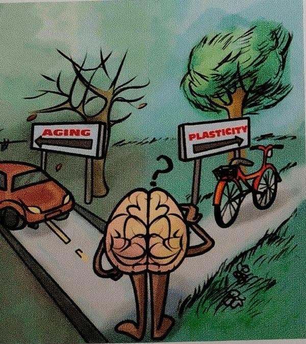 LA NEUROPLASTICIDAD. EL SUPERPODER DE TU CEREBRO. La neuroplasticidad te permite remodelar tu cerebro, transformar tu vida.