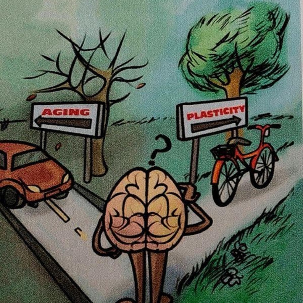 LA NEUROPLASTICIDAD. EL SUPERPODER DE TU CEREBRO. La neuroplasticidad te permite remodelar tu cerebro, transformar tu vida.