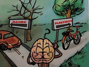 LA NEUROPLASTICIDAD. EL SUPERPODER DE TU CEREBRO. La neuroplasticidad te permite remodelar tu cerebro, transformar tu vida.